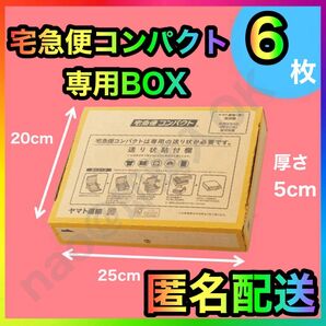 宅急便コンパクト 専用box 箱型 6枚 MT-202505112
