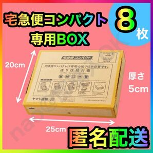 宅急便コンパクト 専用box 箱型 8枚 MT-20250515