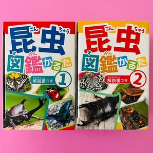 【新品未使用】昆虫図鑑かるた 2点セット 虫 昆虫 図鑑 かるた カルタ 知育 知育玩具