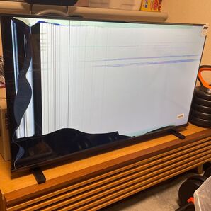2024年 REGZA 40V35N ジャンク 液晶割れ