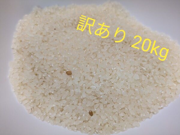 ひとめぼれ 20kg 訳あり