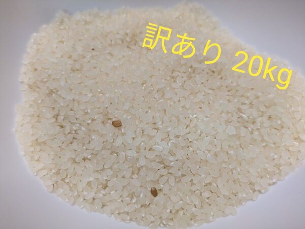 ひとめぼれ 20kg
