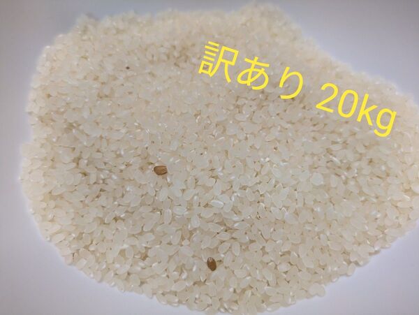 ひとめぼれ 20kg