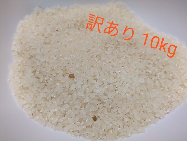 ひとめぼれ 10kg