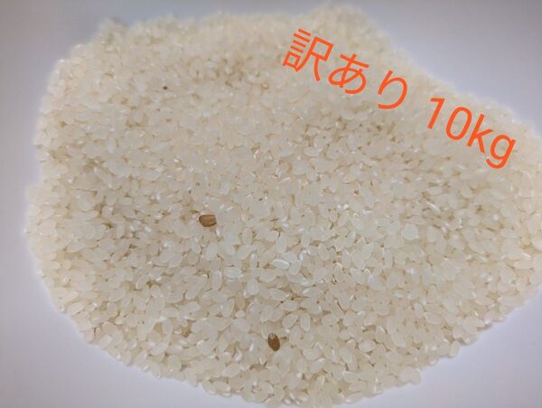 ひとめぼれ 訳あり 10kg