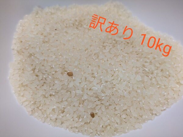 ひとめぼれ 訳あり 10kg
