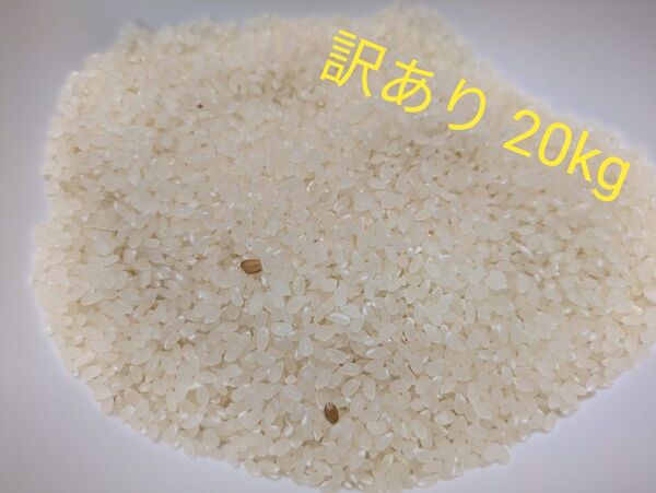ひとめぼれ 訳あり 20kg