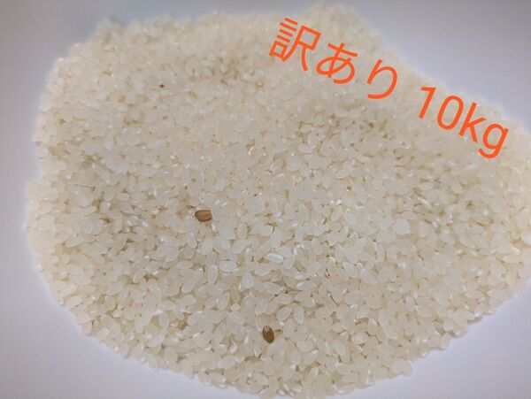 ひとめぼれ 訳あり 10kg