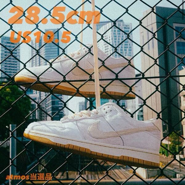 Nike Dunk Low Retro QS City Pack "Tokyo" 28.5cm