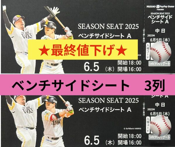 6/5(木) VS 中日ドラゴンズ 交流戦 ベンチサイドシート2枚 福岡ソフトバンクホークス PayPayドーム ※駐車券あり