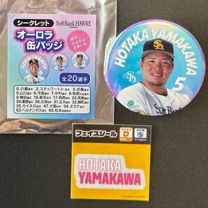 山川穂高 2025オーロラ缶バッジ フェイスシール 福岡ソフトバンクホークス 【未使用】