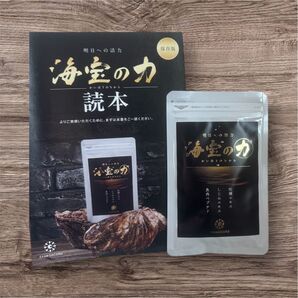海宝の力 牡蠣エキス しじみエキス 新品未開封