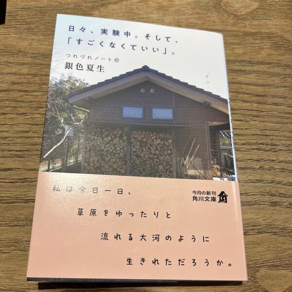 日々、実験中。そして、「すごくなくていい」。 (角川文庫 き9-48 つれづれノート 47) 銀色夏生/〔著〕