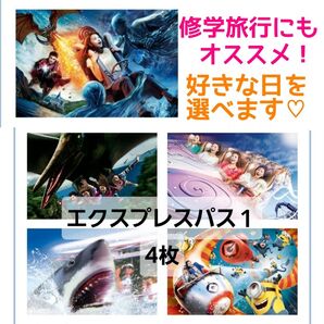 USJ「エクスプレスパス1」4枚セット/取得後の評価で構いません!公式パス