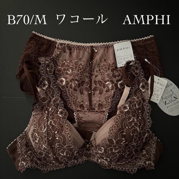 B70/M DR グラマリッチ ワコール アンフィ