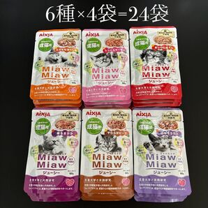 詰め合わせその② 合計24袋 ミャウミャウ パウチ 成猫用