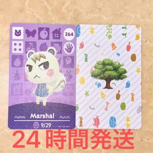 あつ森 amiiboカード ジュン