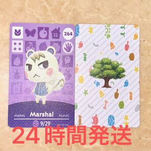 あつ森 amiiboカード ジュン