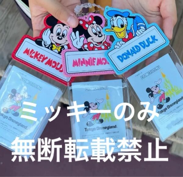 フロンティアウッドクラフト ミッキー ミニー ドナルド 名入れ ホルダー ディズニー ディズニーランド カード チケット ケース