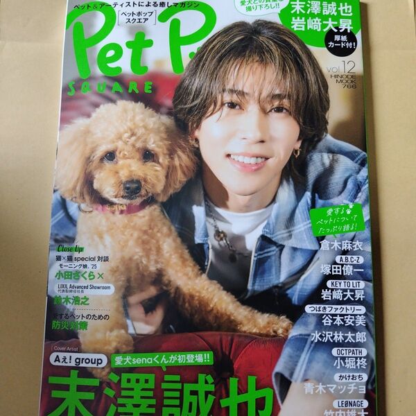 Pet Pop SQUARE vol.12 Aぇ! group 末澤誠也表紙 ペットポップスクエア 新品未読