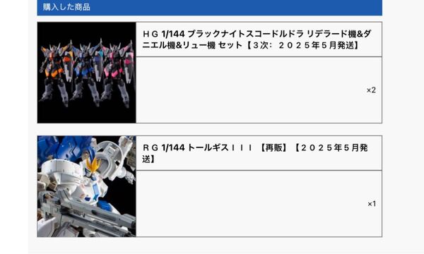 3点セット HG ブラックナイトスコードルドラ リデラード機&ダニエル機&リュー機 セット RG トールギスIII 1/144