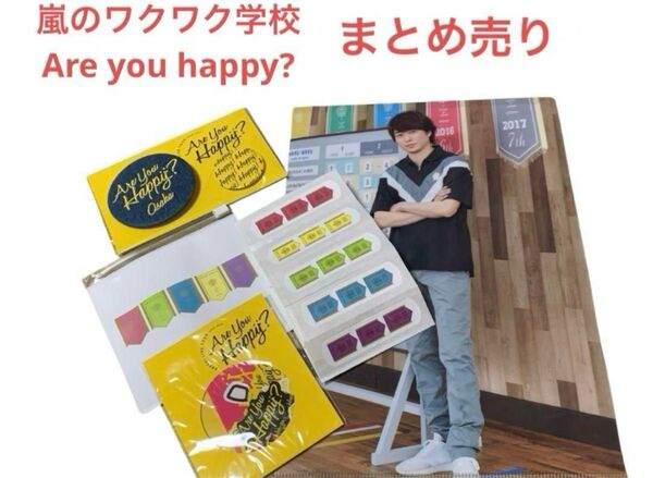 嵐のワクワク学校、Are you happy? まとめ売り 嵐 櫻井翔 グッズ 大阪 缶バッジ