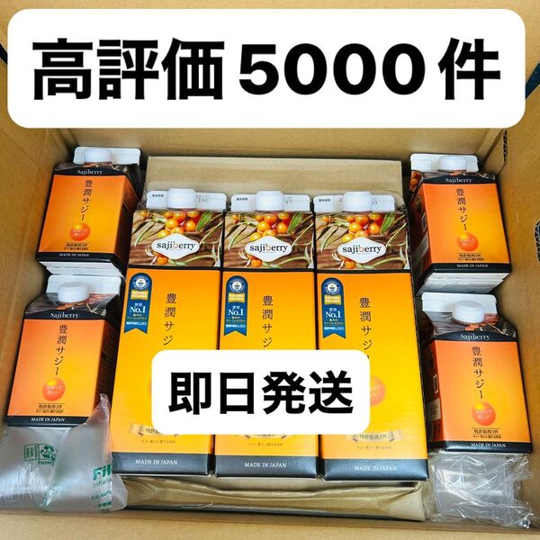豊潤サジー 1000ml 3本 300ml 4本 新品 即日発送