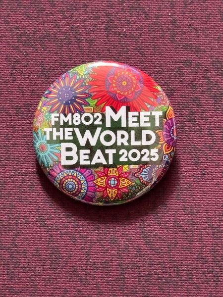 FM802 MEET THE WORLD BEAT ミザワビ 缶バッジ