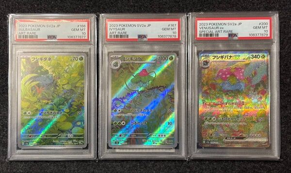 フシギダネ AR フシギソウ AR フシギバナex SAR PSA10 連番 進化ライン ポケモンカードゲーム