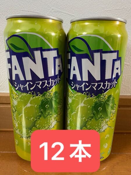 ファンタ シャインマスカット 500ml × 12本
