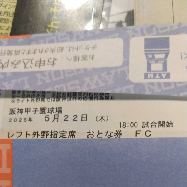 5/22 阪神タイガースvs読売ジャイアンツ レフト外野指定席おとな券2枚