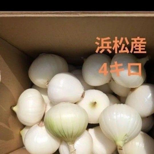 浜松産 黄玉ねぎ 皮むき4キロ