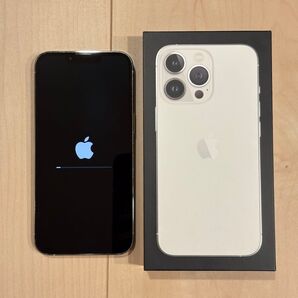 iPhone13pro silver 256GB 本体 SIMフリー アイフォン Apple 箱付 アップル 初期化済み
