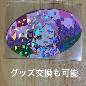 WIND BREAKER ウィンブレ ウィンドブレーカー VASARA コラボ vasara 帯留め風ホログラムカード 桐生三輝