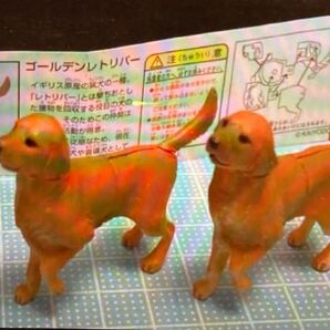 ◯◎ラスト1セット!ゴールデンレトリバー フィギュア 2体セット 海洋堂 フルタ チョコエッグ カプセルなし