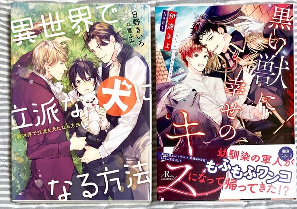 BL小説 2冊セット 日野きいろ 伊達きよ ルビー文庫