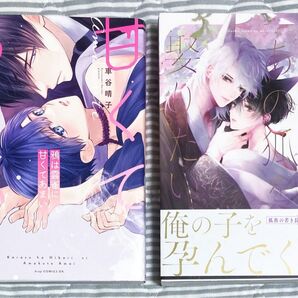 BL漫画 コミック 2冊セット 車谷晴子 ヘンリエッタ