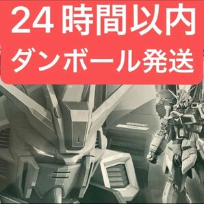 RG ブラストインパルスガンダム Spec II プレミアムバンダイ限定 BANDAI バンダイ プラモデル 未組立品