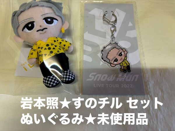 Snowman アクキー すのチル 岩本照 ぬいぐるみ キーホルダー★セット チルぬい グッズ