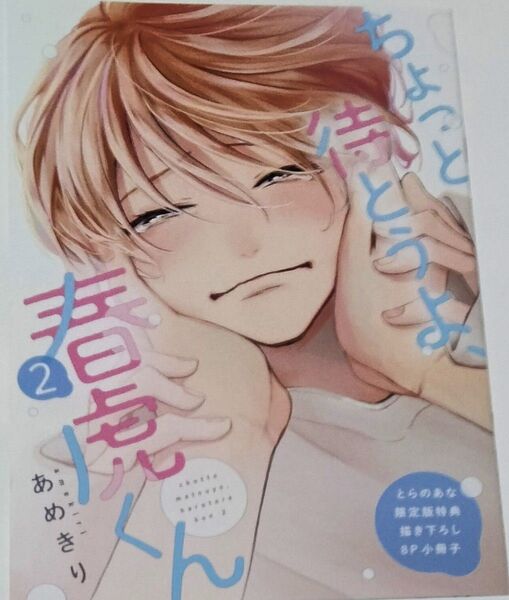 ちょっと待とうよ、春虎くん 2 とらのあな特典 小冊子 あめきり