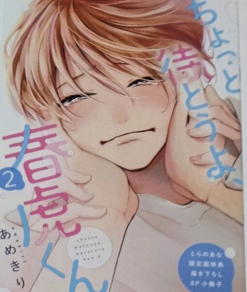 ちょっと待とうよ、春虎くん 2 とらのあな特典 小冊子 あめきり