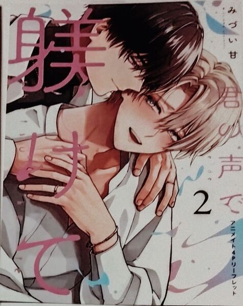 君の声で躾けて 2 アニメイト特典 リーフレット みづい甘