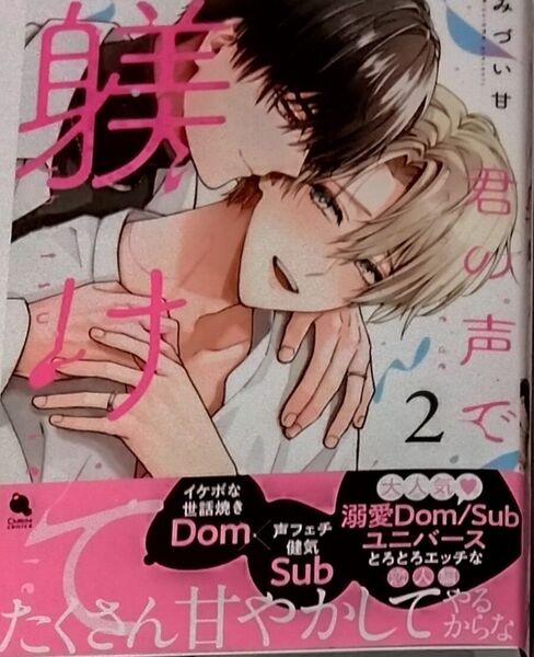 君の声で躾けて 2 みづい甘