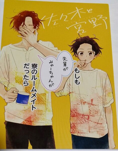 【難あり】佐々木と宮野6 アニメイト特典 小冊子 春園ショウ
