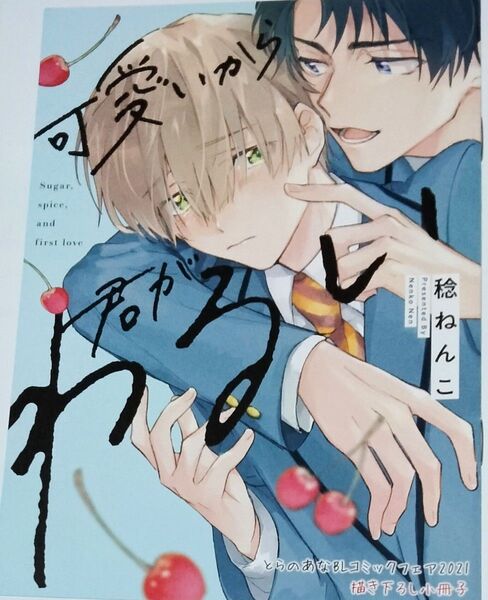 可愛いから君が悪い とらのあなBLコミックフェア特典 小冊子 稔ねんこ