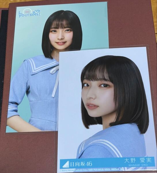 日向坂46 大野愛実 HMV ポストカード 封入 セット