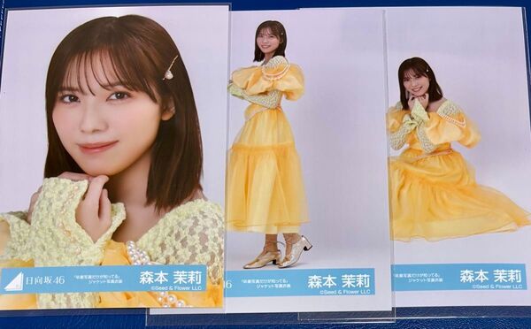 日向坂46 森本茉莉 生写真「卒業写真だけが知ってる」ジャケット写真衣装 セミコンプ(除く、チュウ