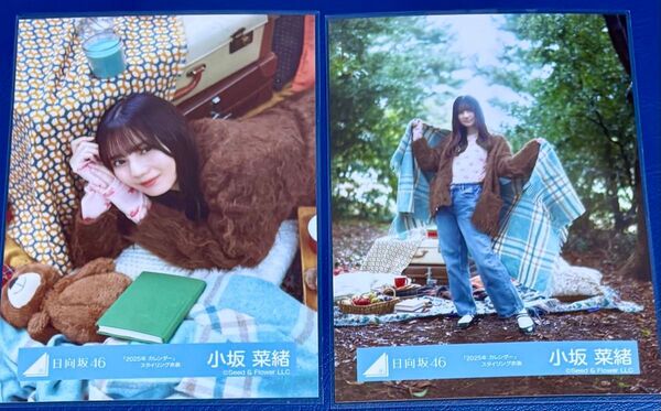 日向坂46 小坂菜緒 生写真「2025年 カレンダー」スタイリング衣装 2枚