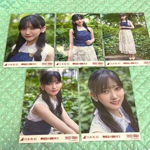 乃木坂46 生写真 個別生写真 池田瑛紗 熱狂の捌け口