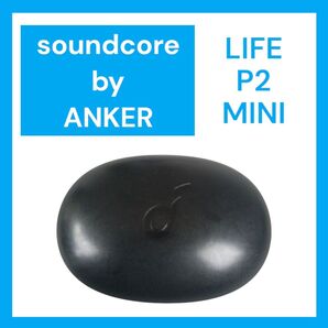 Soundcore Life P2 Mini バッテリー ケース ブラック①